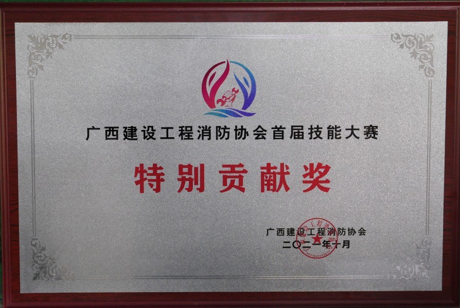  消防协会首届节能(néng)大寨-特别贡献奖