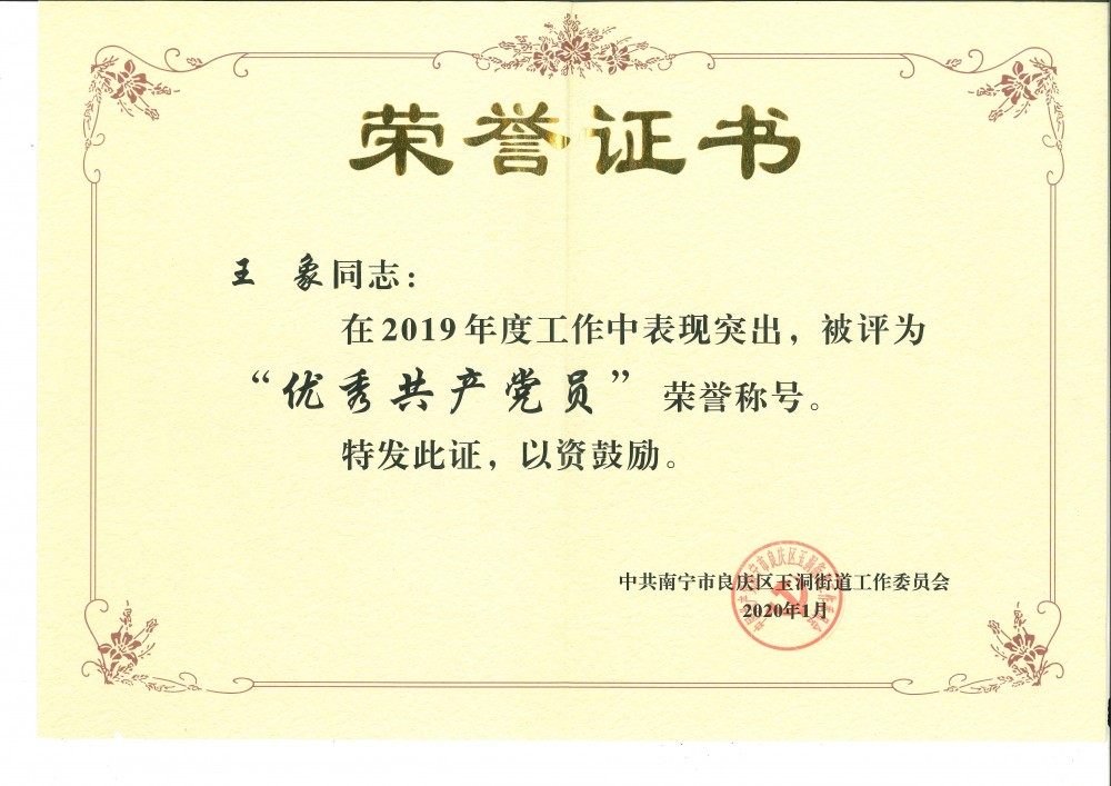 2019年度优秀共产党员